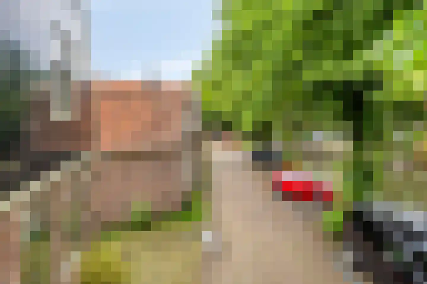 Bagijnenland 10 Edam thumbnail 31