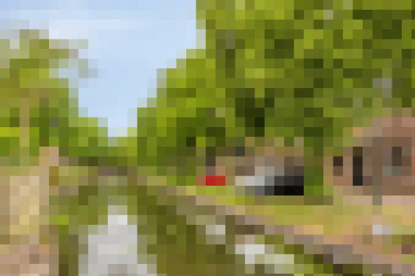Bagijnenland 10 Edam thumbnail 34