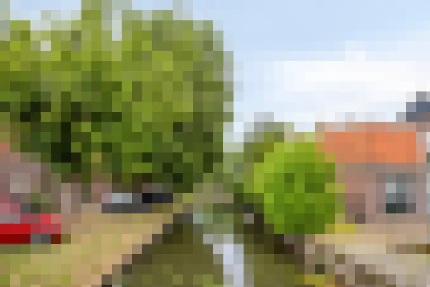 Bagijnenland 10 Edam thumbnail 36
