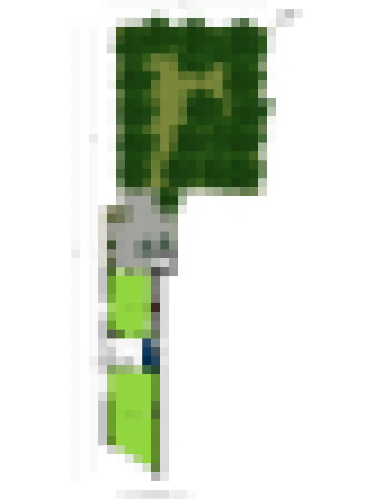 Bagijnenland 10 Edam thumbnail 40
