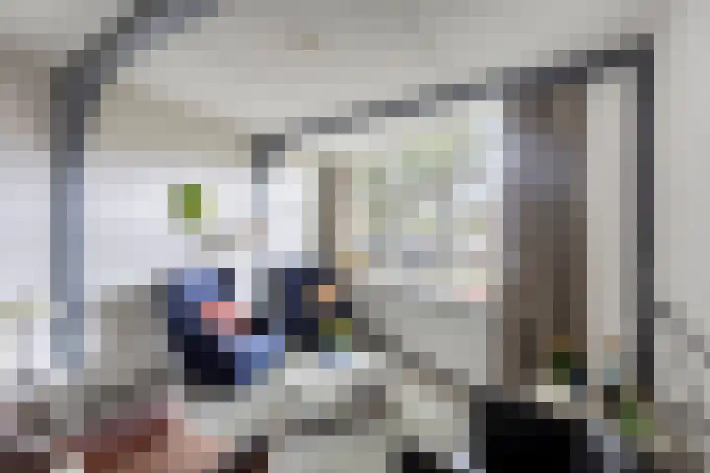 Bagijnenland 10 Edam thumbnail 6