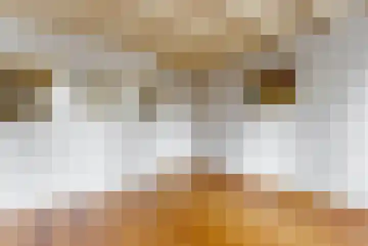 Bagijnenland 3 Edam thumbnail 10