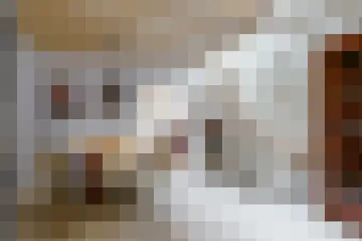 Bagijnenland 3 Edam thumbnail 13