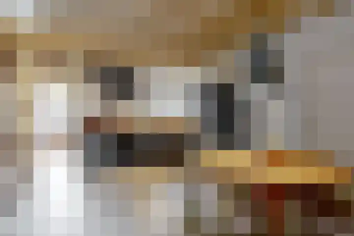 Bagijnenland 3 Edam thumbnail 14