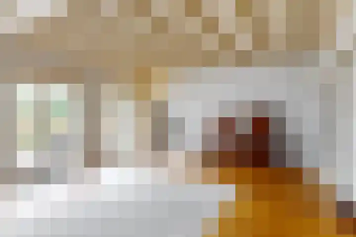 Bagijnenland 3 Edam thumbnail 18
