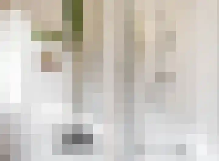 Bagijnenland 3 Edam thumbnail 27