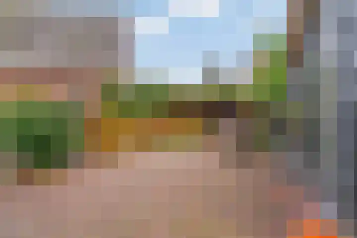 Bagijnenland 3 Edam thumbnail 35