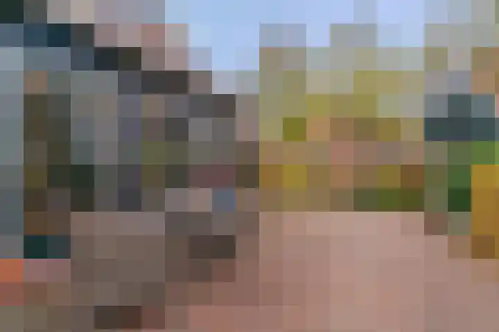 Bagijnenland 3 Edam thumbnail 37