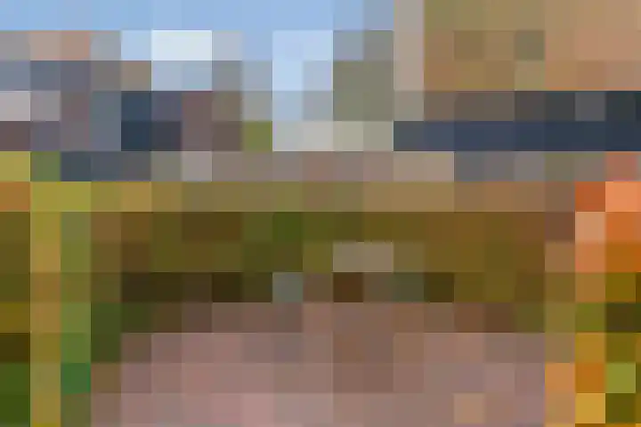 Bagijnenland 3 Edam thumbnail 39