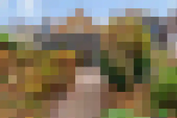 Bagijnenland 3 Edam thumbnail 40