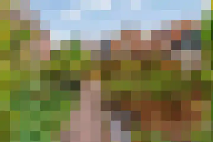 Bagijnenland 3 Edam thumbnail 42