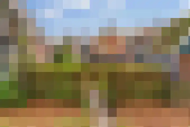 Bagijnenland 3 Edam thumbnail 43
