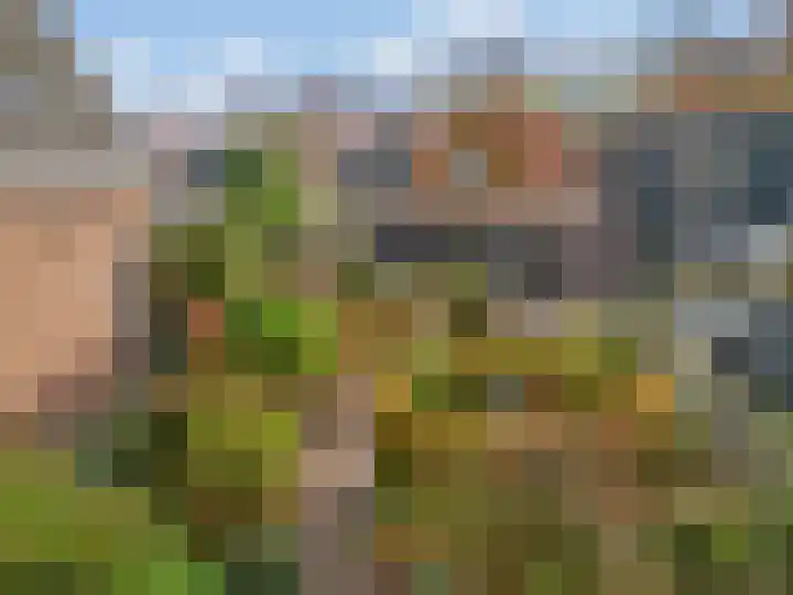 Bagijnenland 3 Edam thumbnail 44