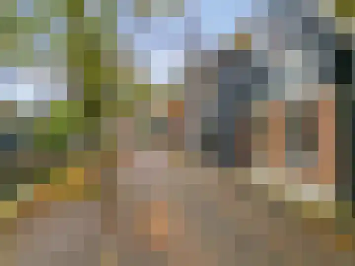 Bagijnenland 3 Edam thumbnail 47