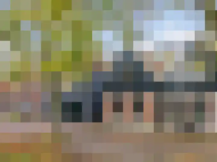 Bagijnenland 3 Edam thumbnail 48