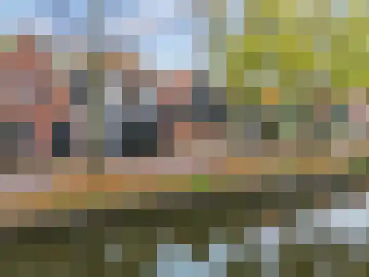 Bagijnenland 3 Edam thumbnail 50
