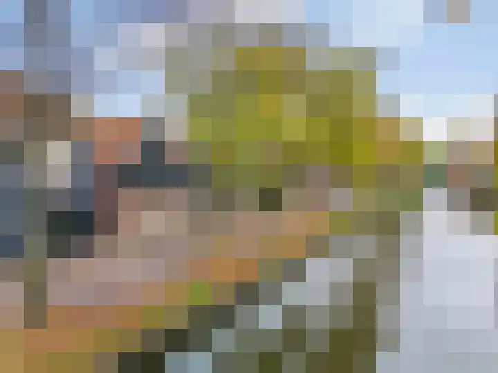 Bagijnenland 3 Edam thumbnail 51