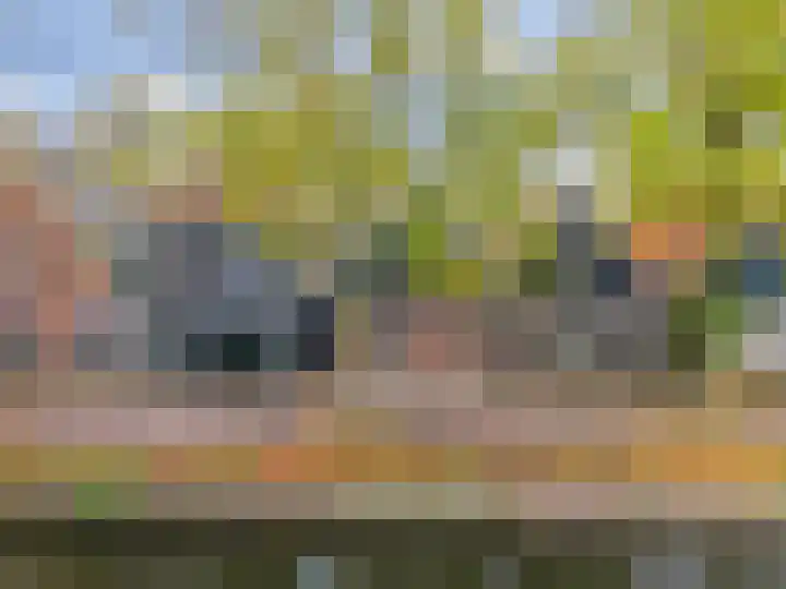Bagijnenland 3 Edam thumbnail 52