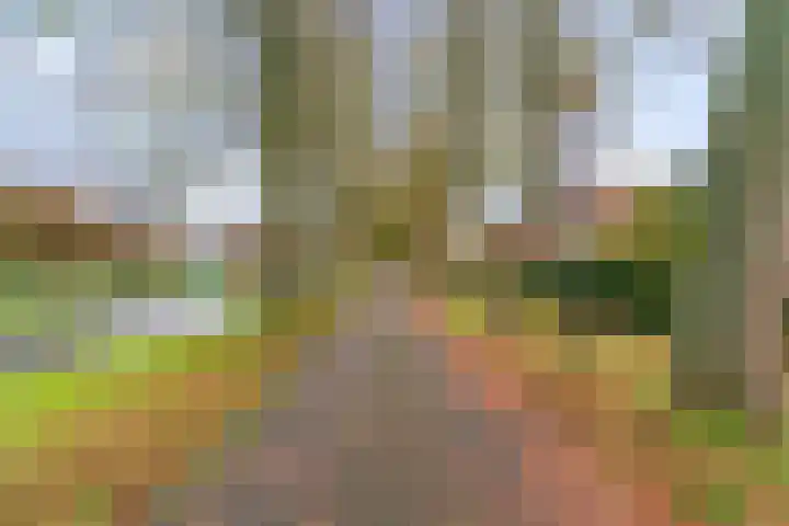 Bagijnenland 3 Edam thumbnail 53