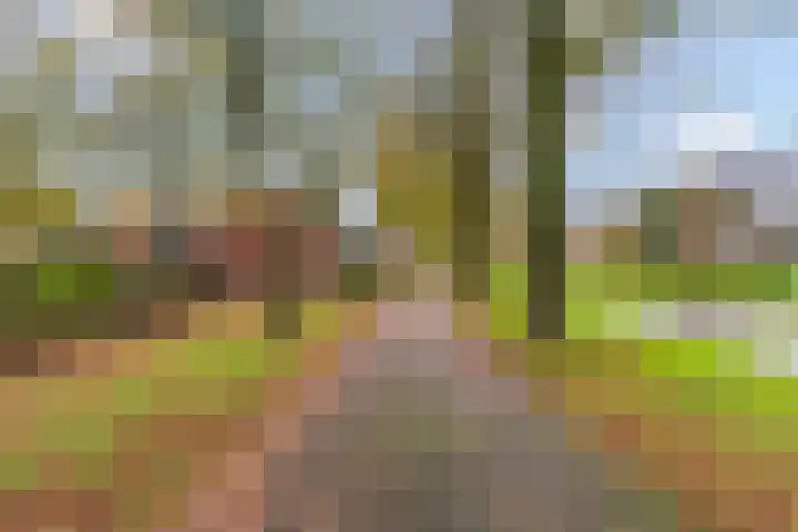 Bagijnenland 3 Edam thumbnail 54