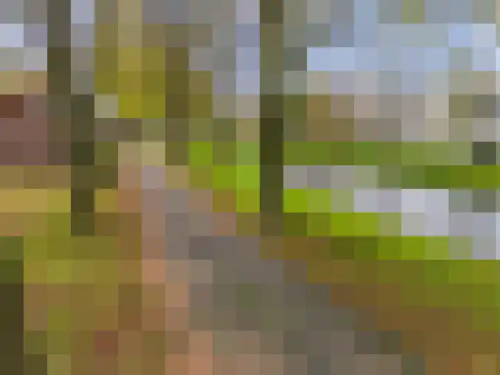 Bagijnenland 3 Edam thumbnail 55