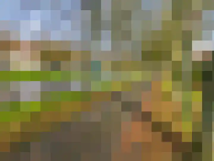Bagijnenland 3 Edam thumbnail 56