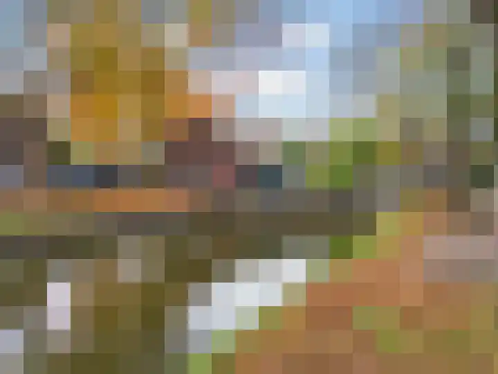 Bagijnenland 3 Edam thumbnail 58