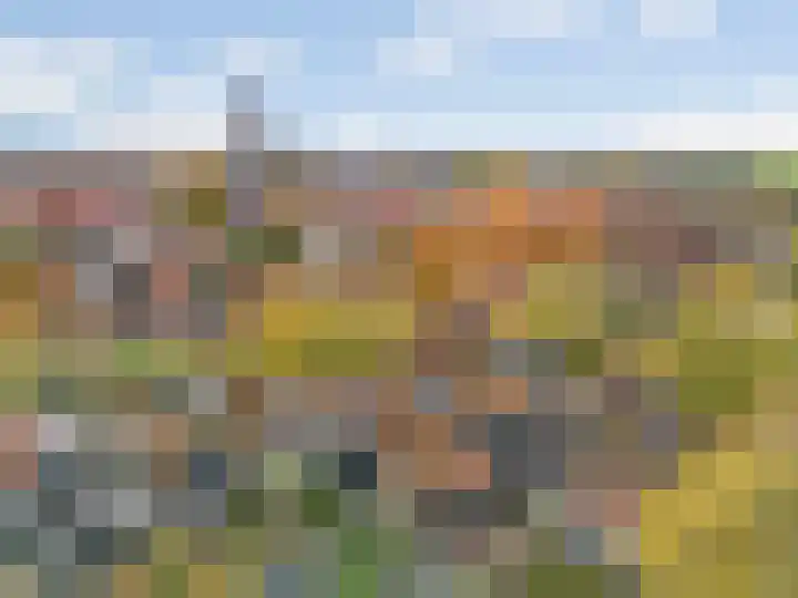 Bagijnenland 3 Edam thumbnail 59