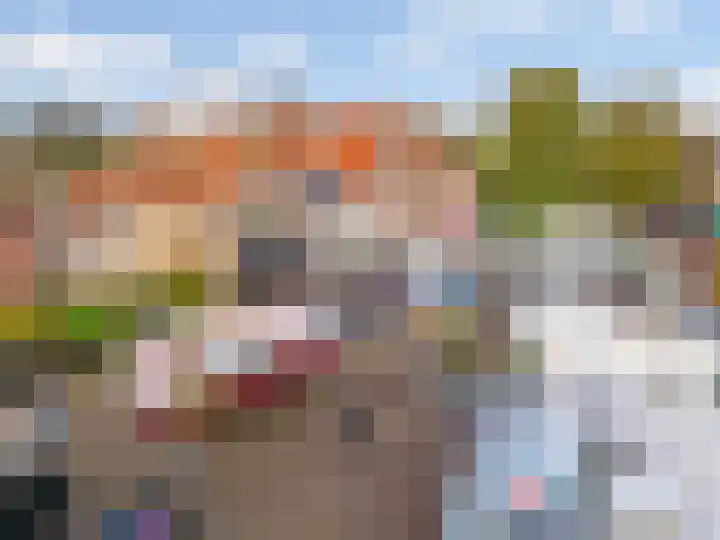 Bagijnenland 3 Edam thumbnail 60