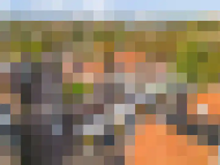 Bagijnenland 3 Edam thumbnail 63
