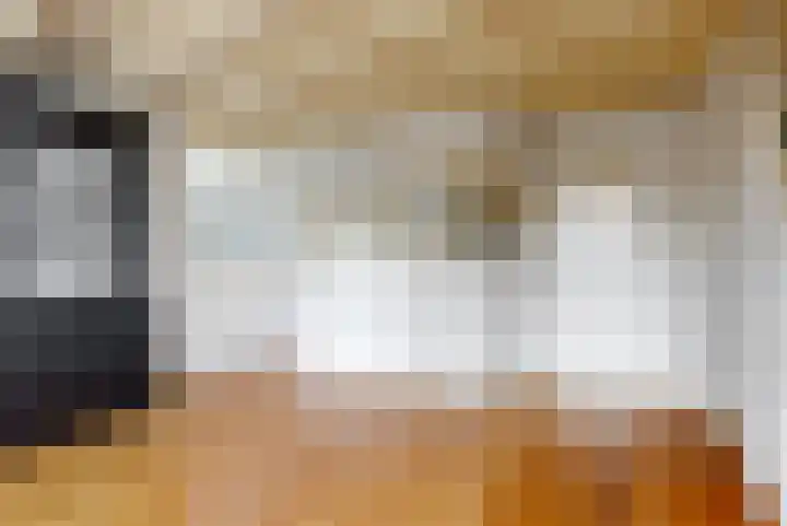 Bagijnenland 3 Edam thumbnail 9