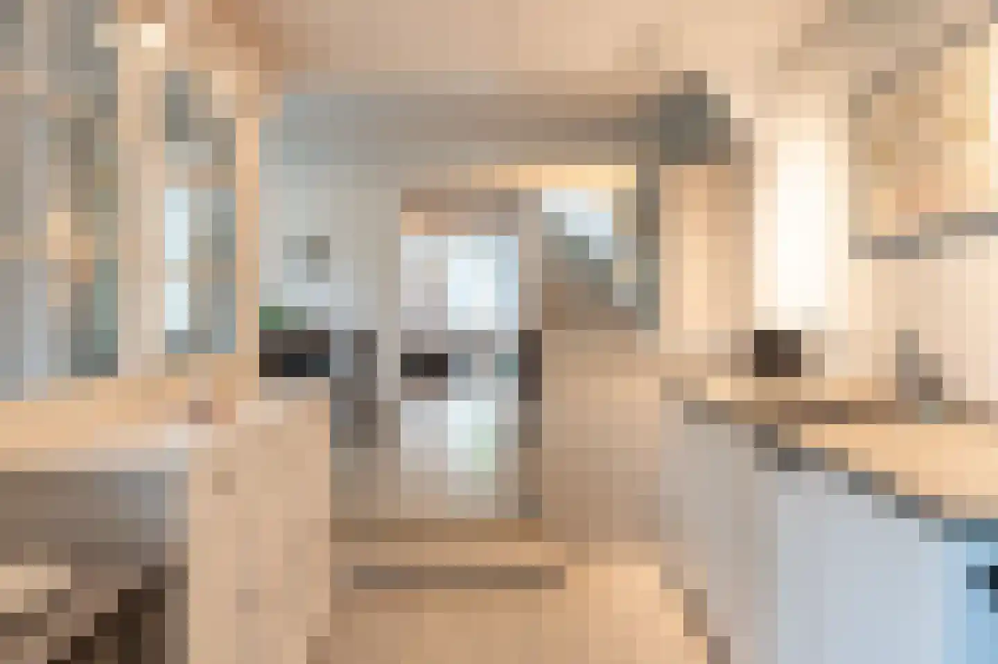 Bagijnenland 5 Edam thumbnail 18