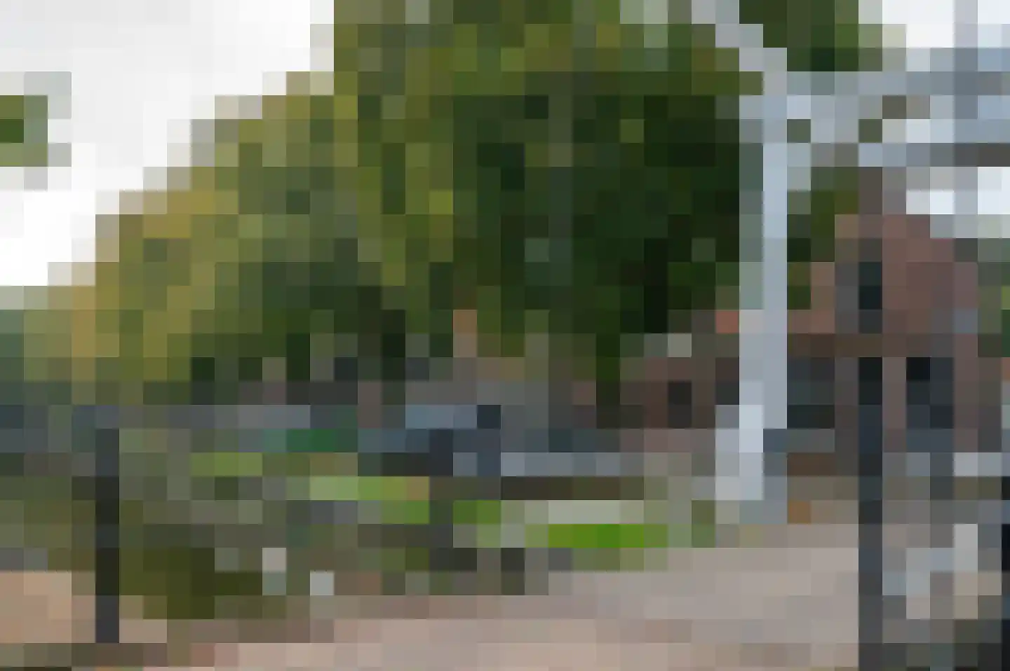 Bagijnenland 5 Edam thumbnail 43