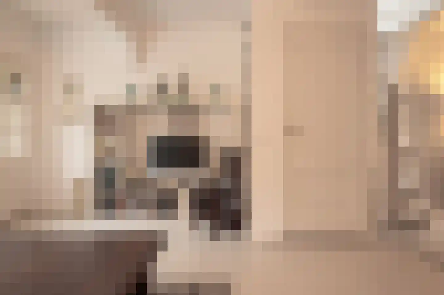 Bagijnenland 5 Edam thumbnail 5