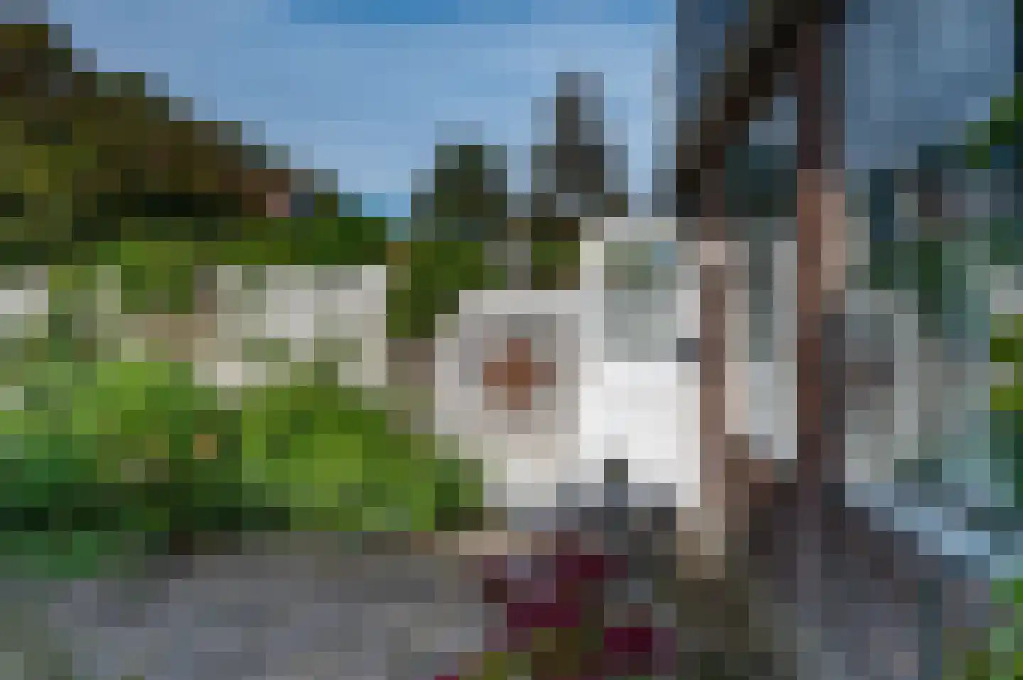 Bagijnenland 5 Edam thumbnail 7