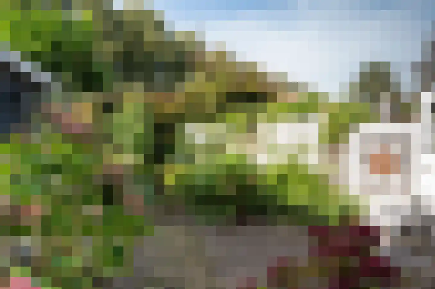 Bagijnenland 5 Edam thumbnail 8