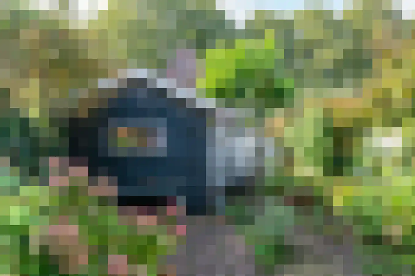 Bagijnenland 5 Edam thumbnail 9