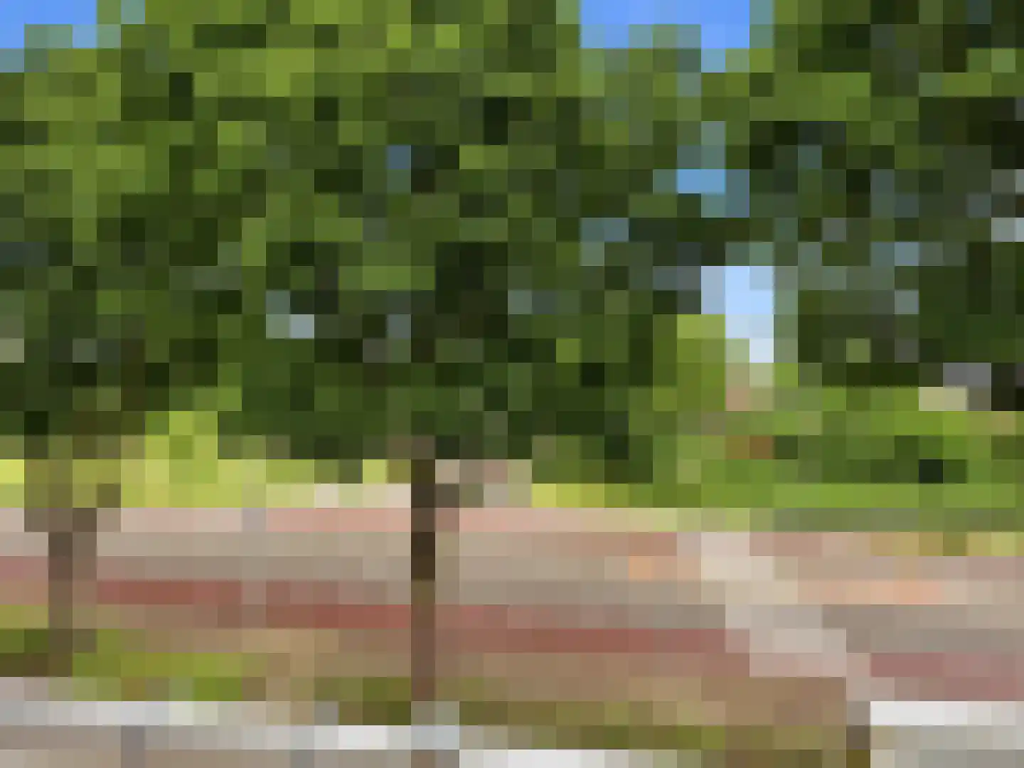 Bagijnenland 86 Zutphen thumbnail 13