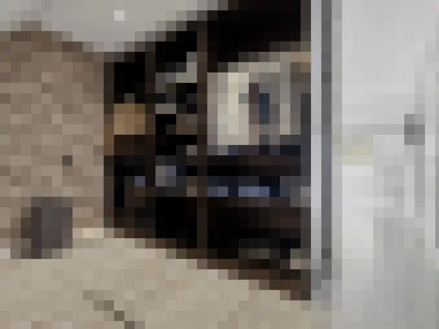 Bagijnenland 86 Zutphen thumbnail 21