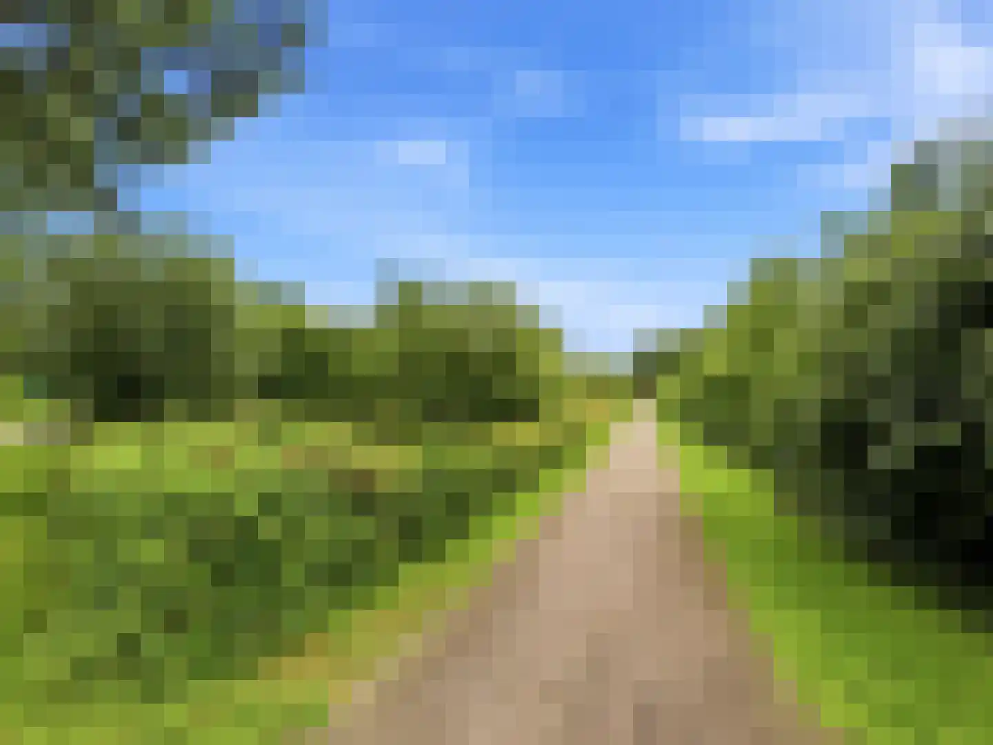 Bagijnenland 86 Zutphen thumbnail 33