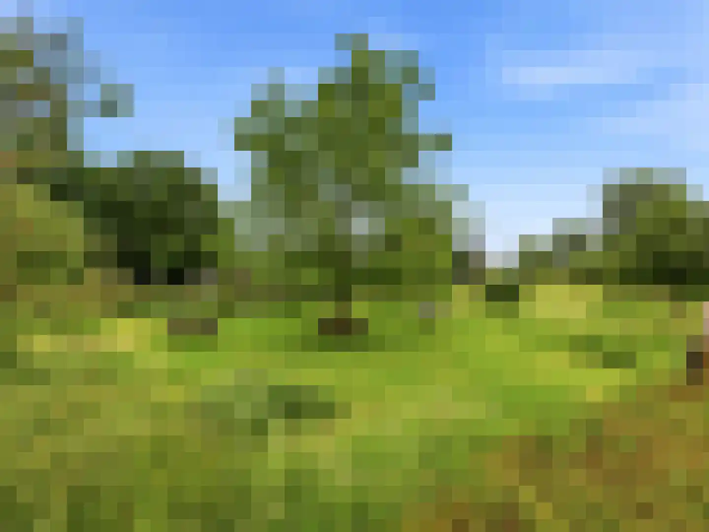Bagijnenland 86 Zutphen thumbnail 34