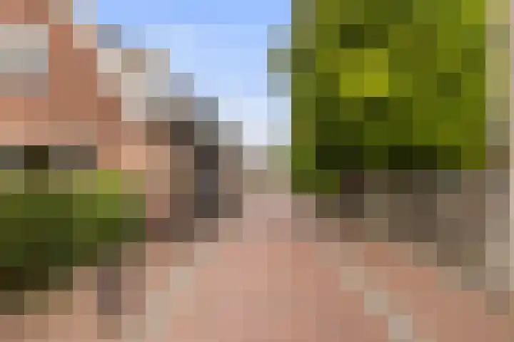 Bagijnenstraat 20 Nijkerk thumbnail 24