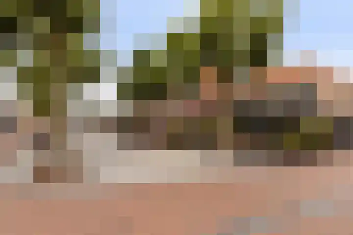 Bagijnenstraat 20 Nijkerk thumbnail 25