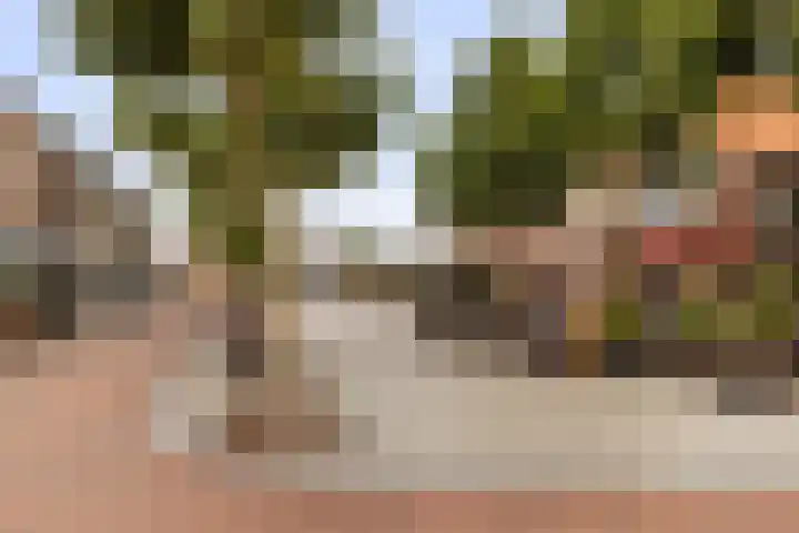 Bagijnenstraat 20 Nijkerk thumbnail 26