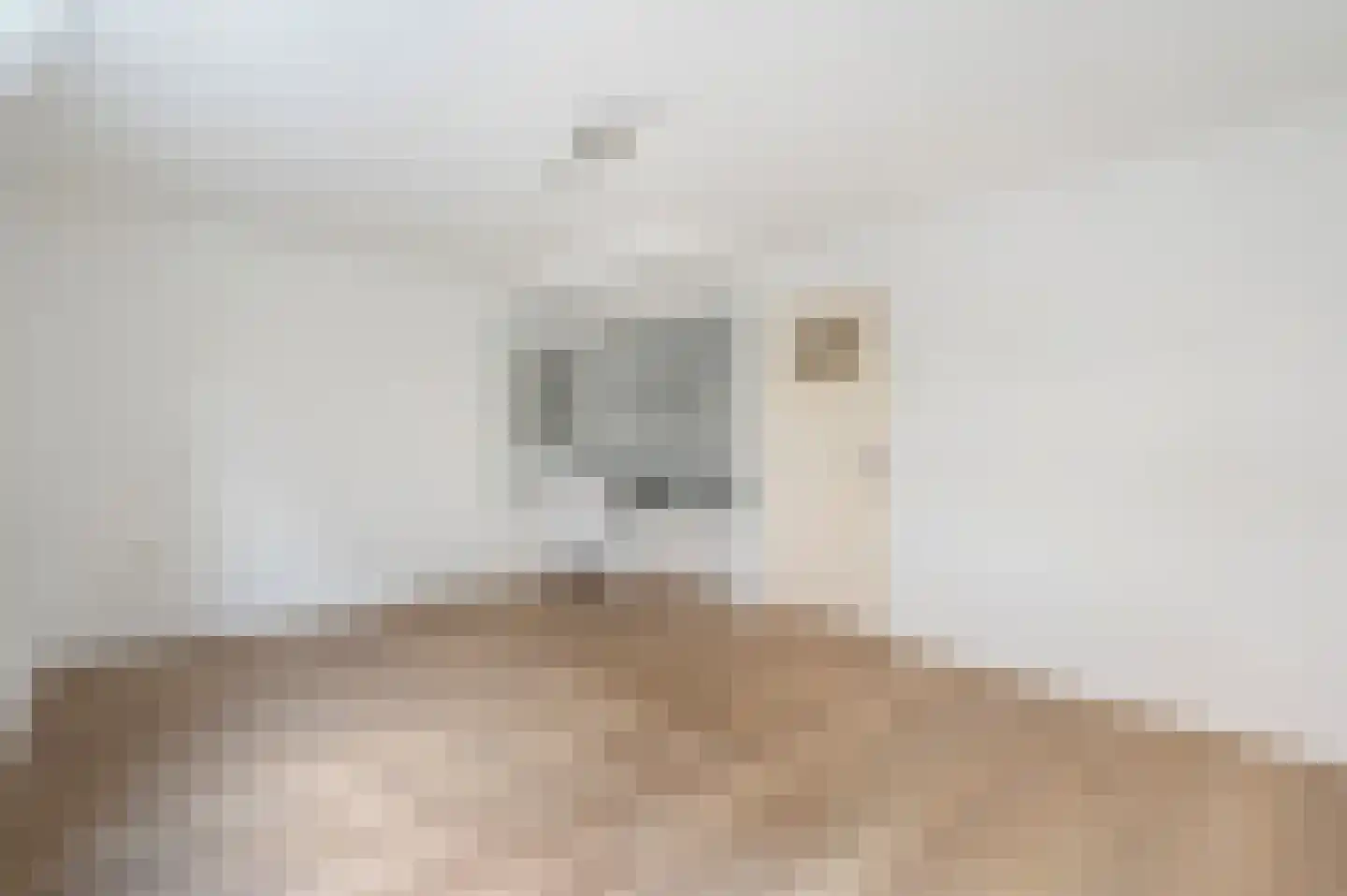 Bagijnenstraat 27 B Rotterdam thumbnail 18