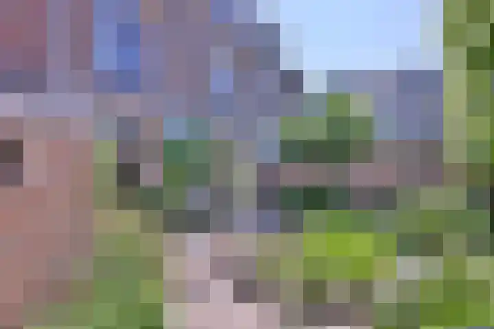 Bagijnenstraat 3 Deventer thumbnail 16