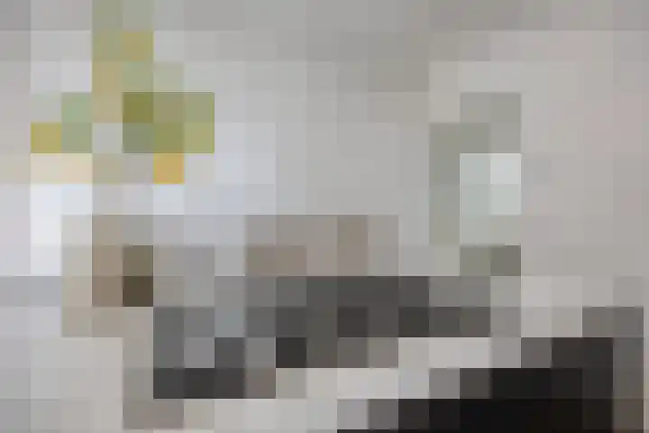 Bagijnenstraat 9 D Rotterdam thumbnail 13