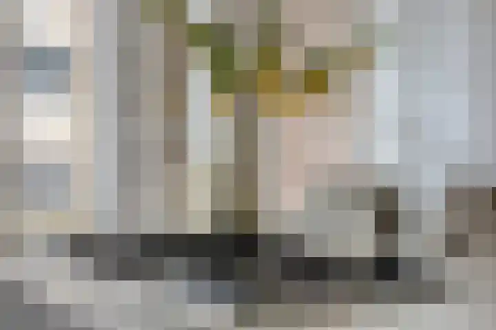 Bagijnenstraat 9 D Rotterdam thumbnail 16