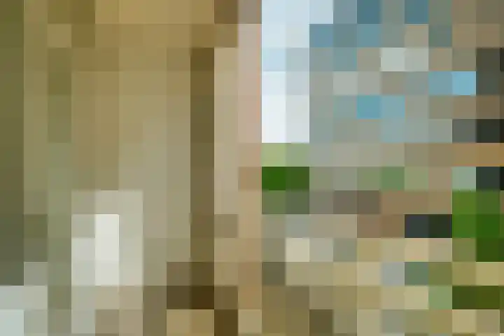Bagijnenstraat 9 D Rotterdam thumbnail 34