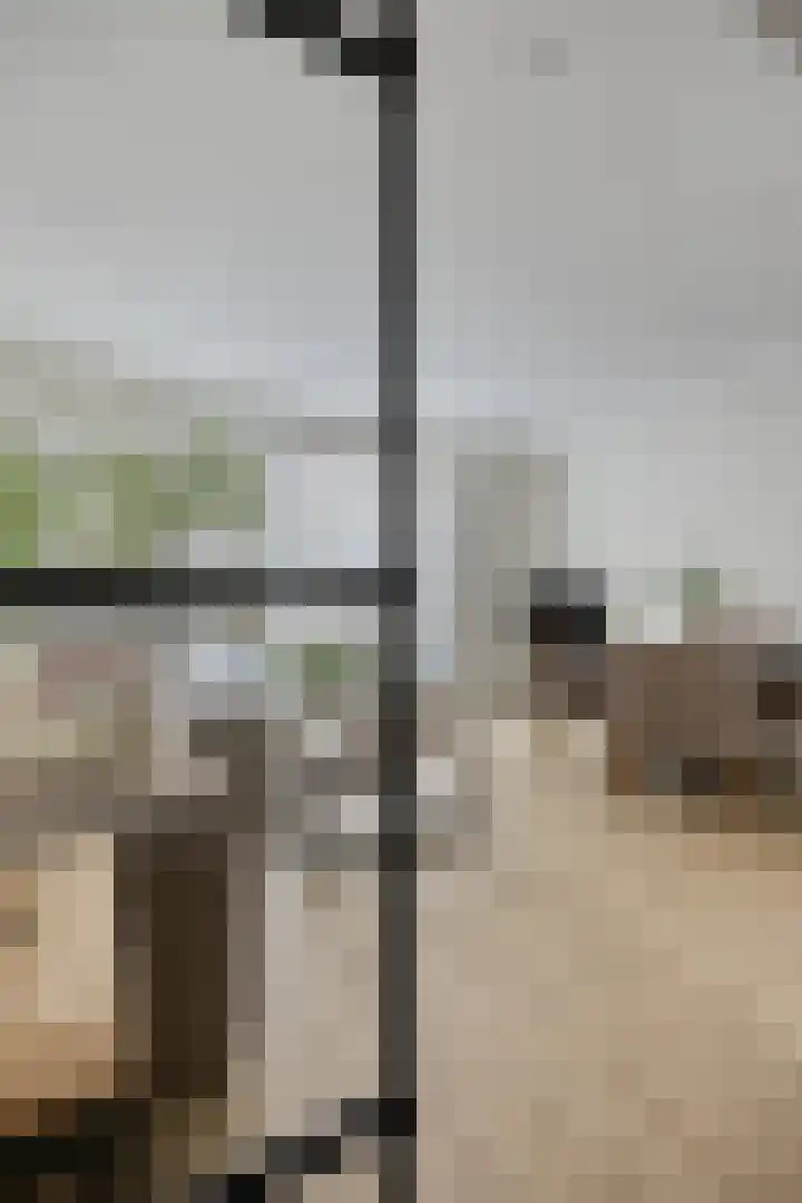 Bagijnenstraat 9 D Rotterdam thumbnail 4